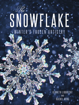 cover image of The Snowflake